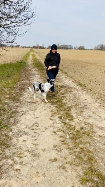 DogSpirit’Educ - photo 3