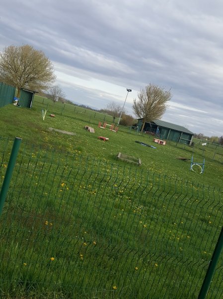 Club Canin Mommenheim