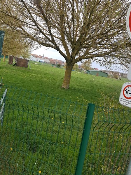 Club Canin Mommenheim - photo 3