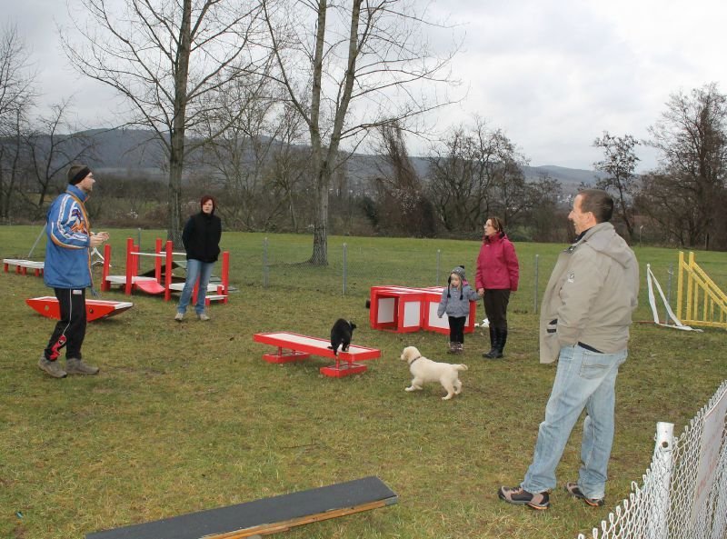 Training Club Canin Wissembourg - photo 2