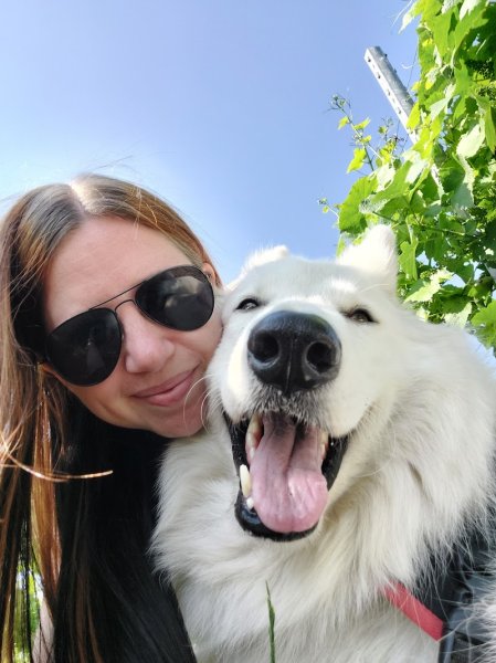 Éducation canine Dog+ ● Éducateur comportementaliste canin ● - photo 2