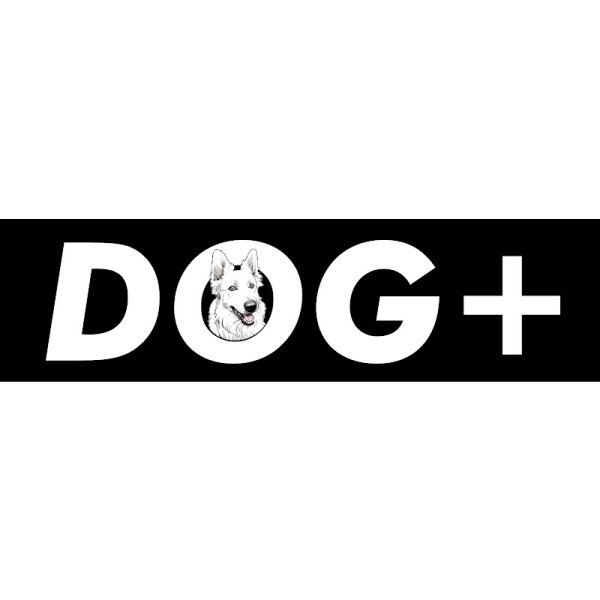 Éducation canine Dog+ ● Éducateur comportementaliste canin ● - photo 3