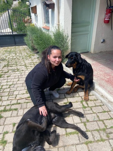 Othala Canin - Comportementaliste et éducatrice canin à Valff - photo 2