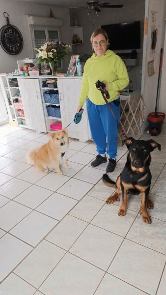 Groupement des Professionnels du Chien - photo 2