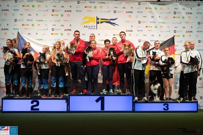 Club Canin de Drusenheim - photo 1