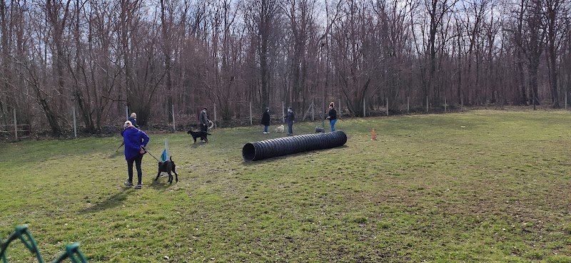 Club Canin de Drusenheim - photo 3
