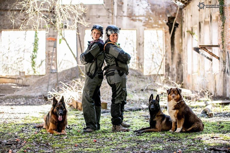 Vie de Chien - photo 2