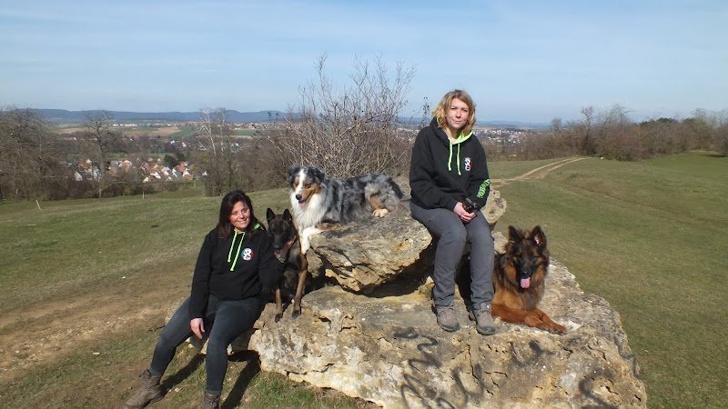 Vie de Chien - photo 3