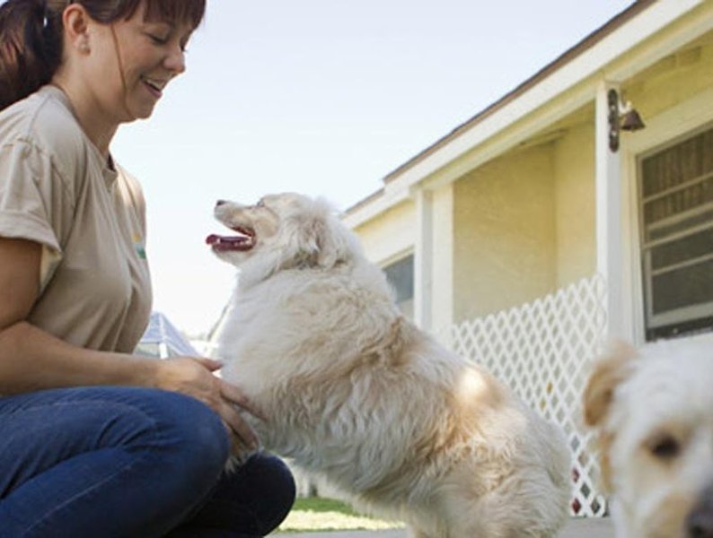 Mon Chien Mon Ami SARL Centre du bien-être animalier - photo 2