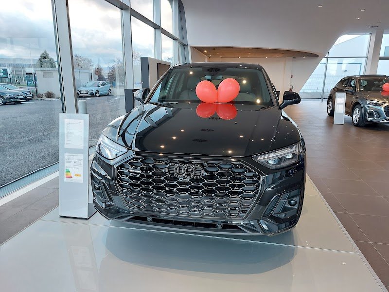 HARMONIE EDUCATION CANINE - photo 1