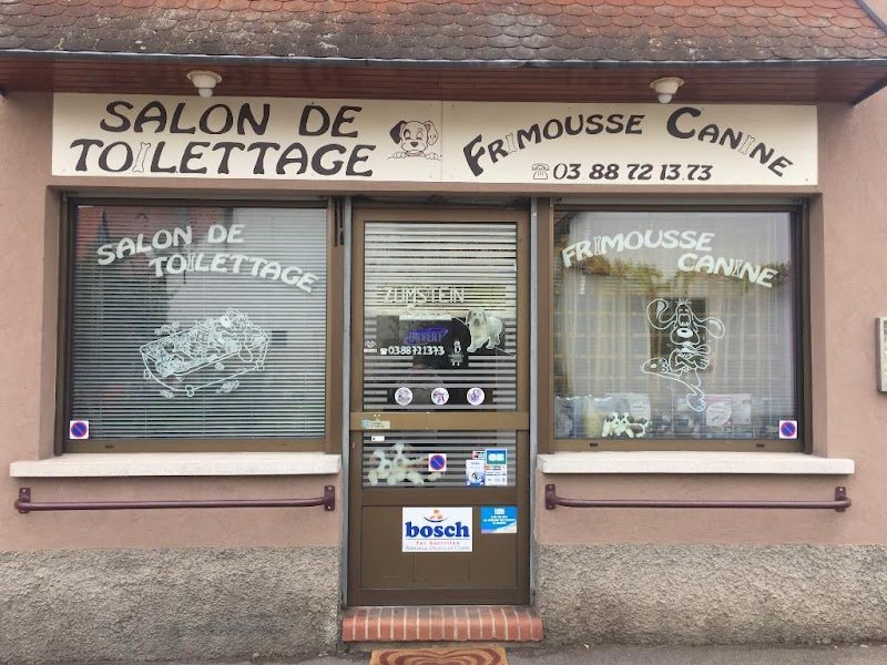 Frimousse Canine - photo 1