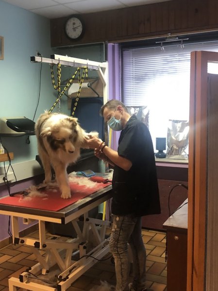 Frimousse Canine - photo 2