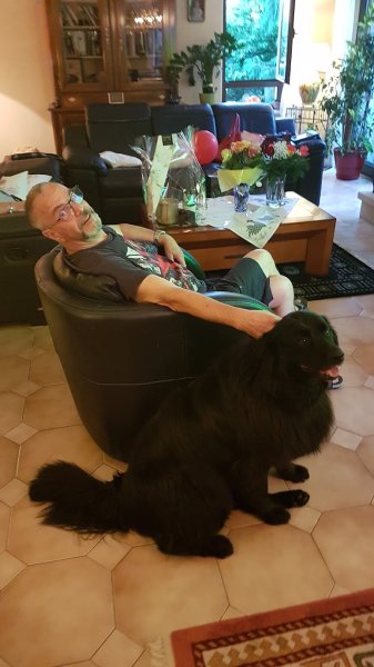 Du temps pour mon Chien - Osteo Energétique et Massage Canin - photo 2