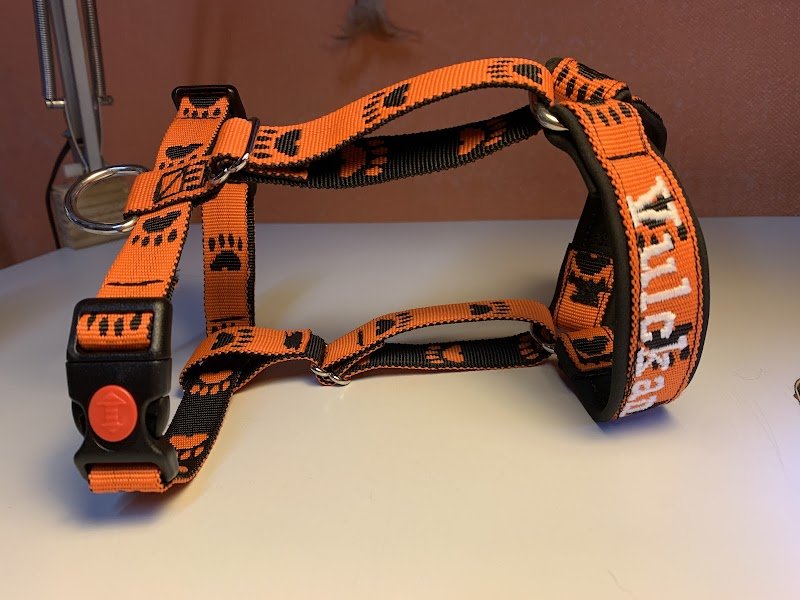 Atelier Canin Actif - photo 2