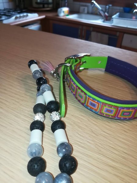 L’atelier du chien - photo 1