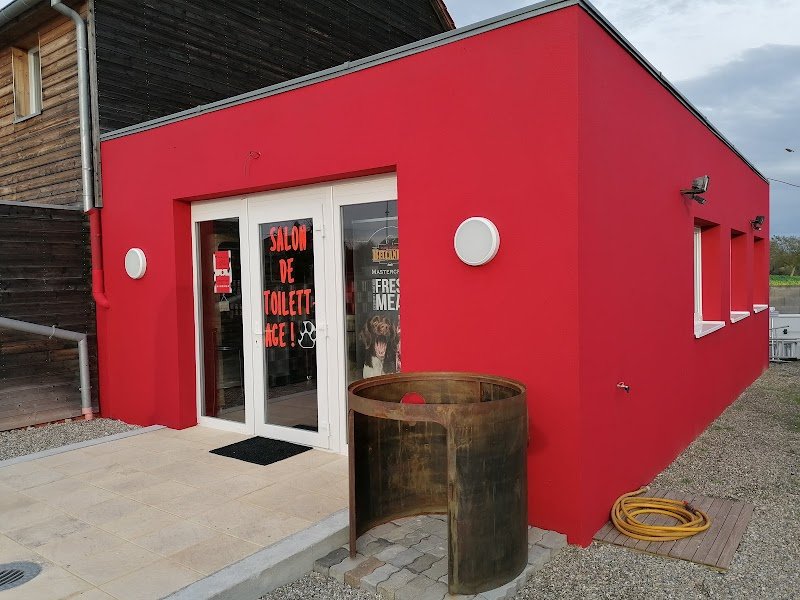 Bien dans mes pattes , toilettage chiens, Goxwiller - photo 2