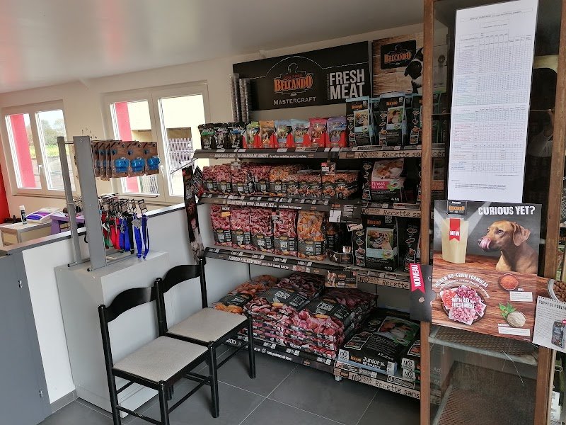 Bien dans mes pattes , toilettage chiens, Goxwiller - photo 3