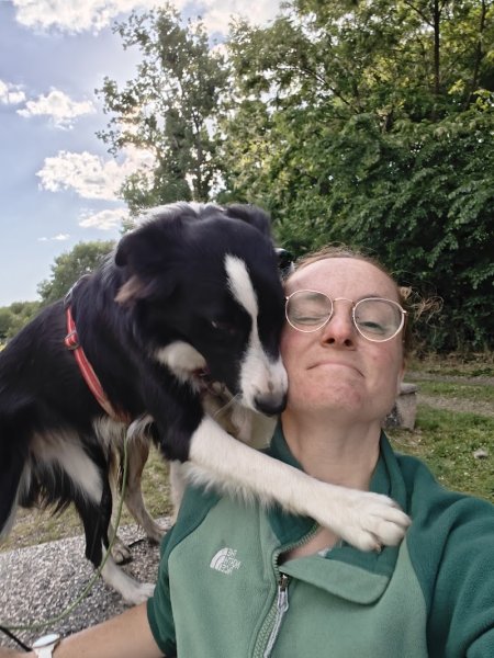 CAT'CANIN - Educateur Comportementaliste Canin - photo 3