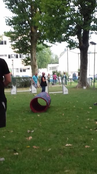 Club d'Education Canine Mulhouse Brunstatt - photo 3