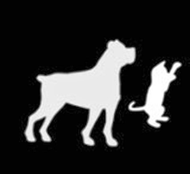 Christophe Musil Comportementaliste - photo 3