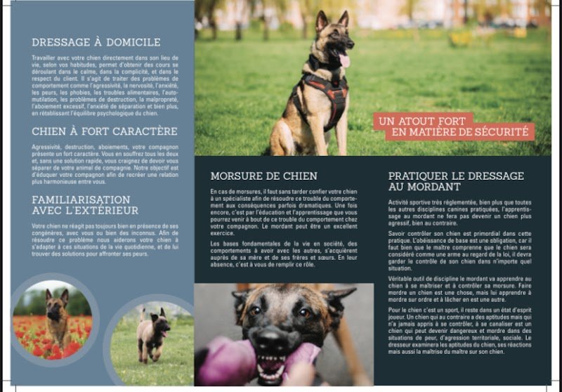 À Domicile Chien tranquille - photo 1