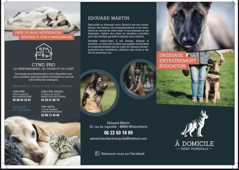 À Domicile Chien tranquille - photo 2