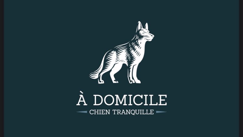 À Domicile Chien tranquille - photo 3