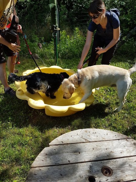 PARLONS CHIEN® - photo 2