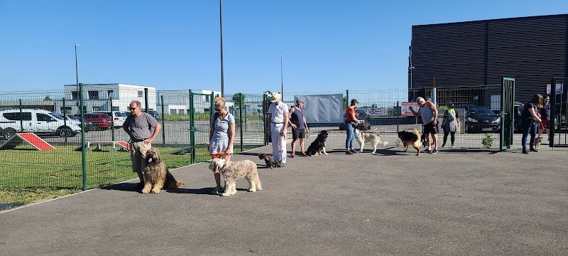 Club Canin du Sundgau - photo 1