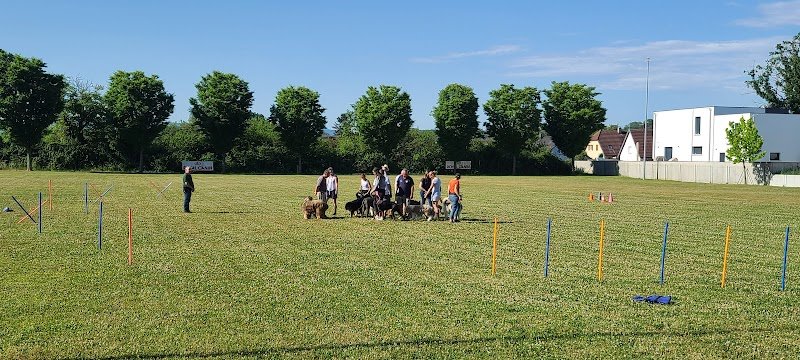 Club Canin du Sundgau - photo 2