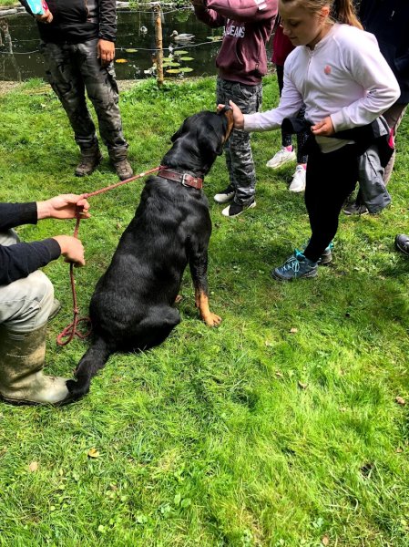 ELL' ENERGY Dog - photo 2