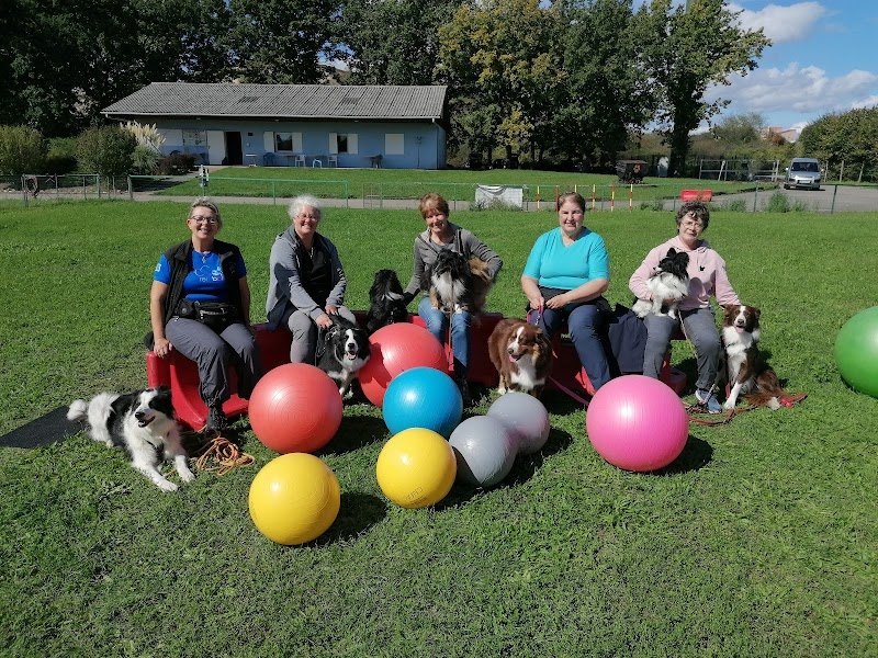 Club Canin Wittenheim - photo 2