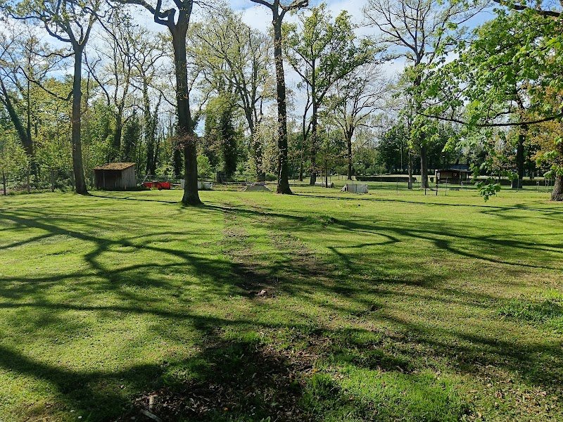 Club canin SCBA CC ILLZACH - photo 2