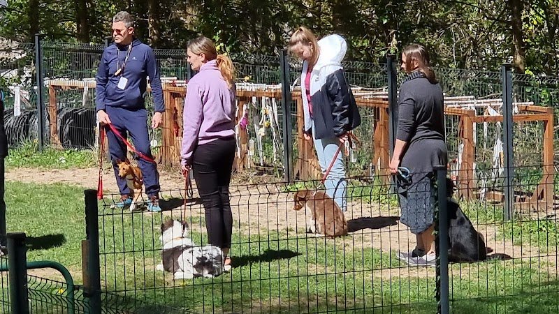 Training club canin du Florival - photo 2