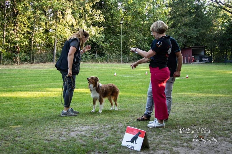 Training club canin du Florival - photo 3