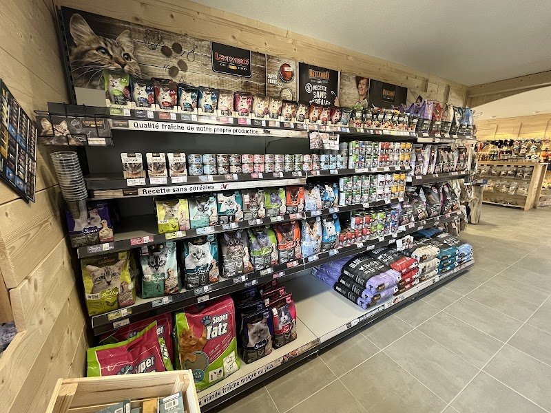 EMP TRAINED DOG - photo 2