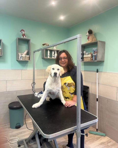 Virgin & Dog - Toiletteur ,Salon de toilettage, Toilettage, - photo 1