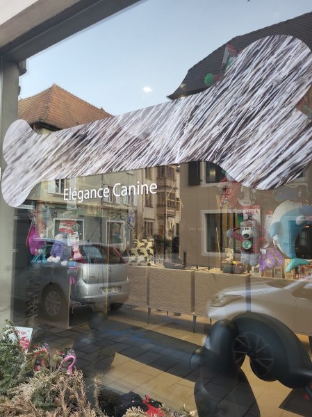 Elégance Canine - photo 1