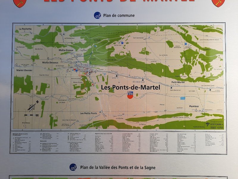 Pension canine de sud alsace - photo 2