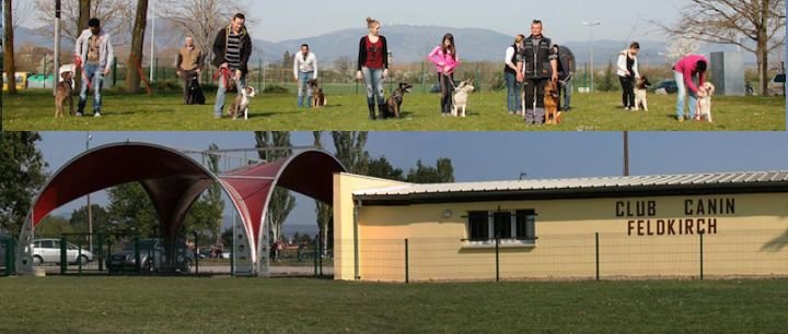 Club Canin Feldkirch