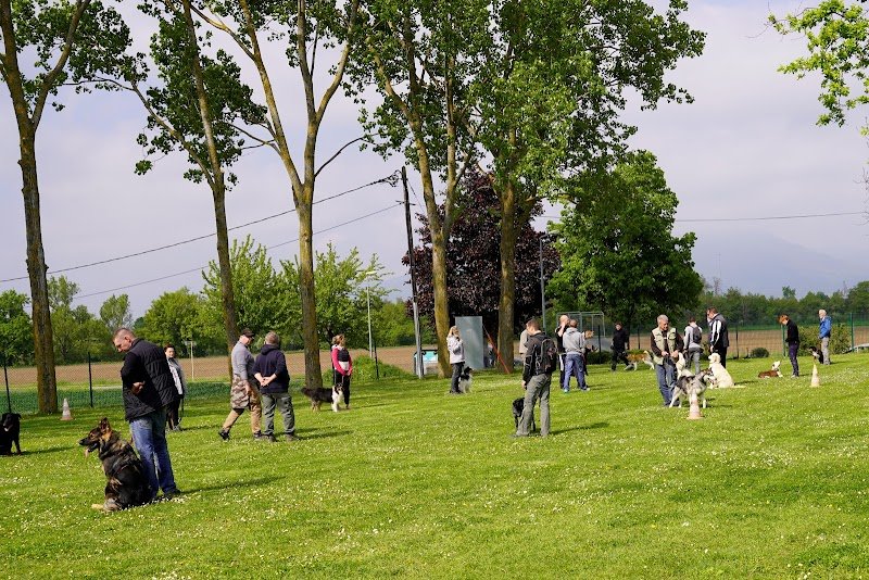 Club Canin Feldkirch - photo 2