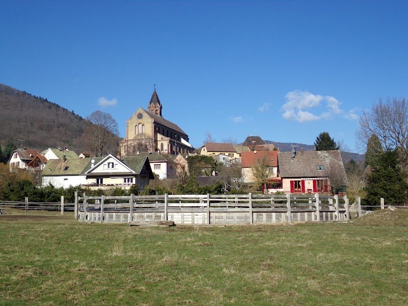 EquiVox - Comportementalisme équin et équithérapie - photo 2