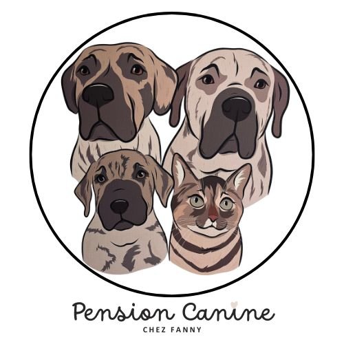 Fanny pension canine - photo 3