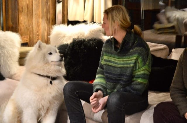 L’École des Scoubidoodi : Educatrice Comportementaliste canin