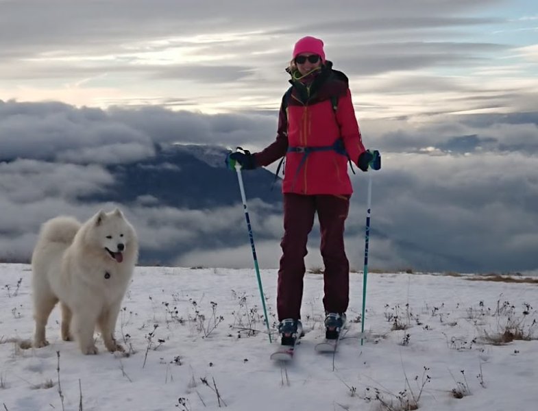 L’École des Scoubidoodi : Educatrice Comportementaliste canin - photo 2