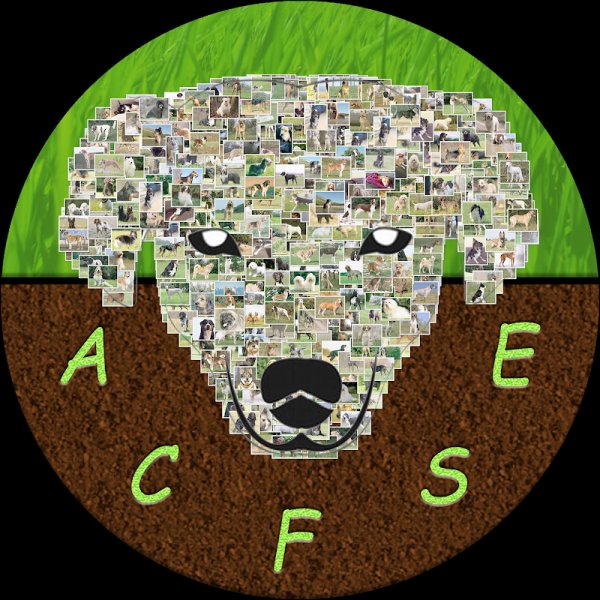 Club canin ACFSE - Association Cynophile Familiale et Sportive de l'Est