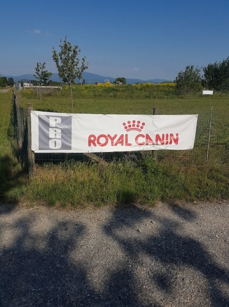 Club canin CSCT - photo 2