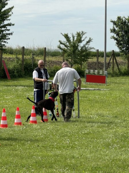 Club canin CSCT - photo 3