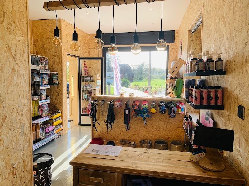 espace canin Sundog - photo 2