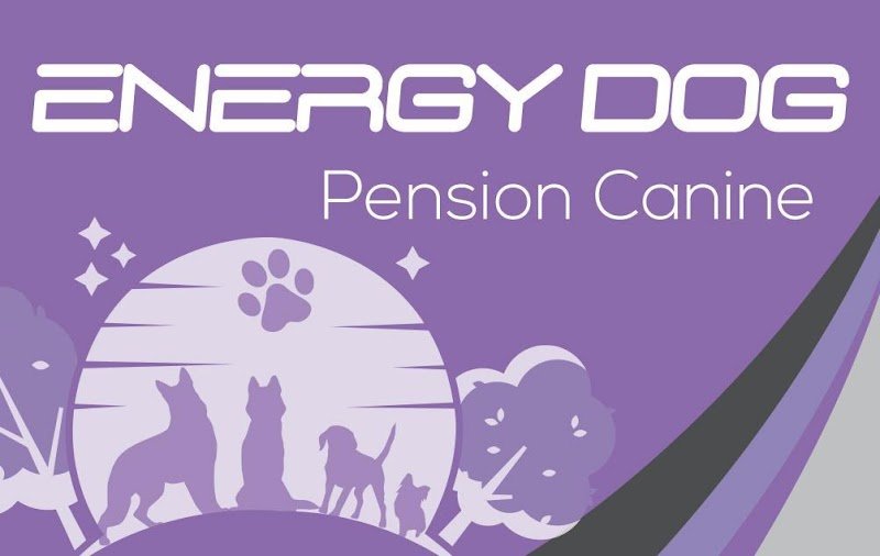 Pension canine Energy Dog - photo 1